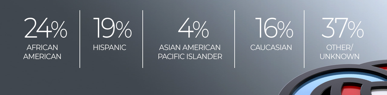 Primerica Diversity Rep Status